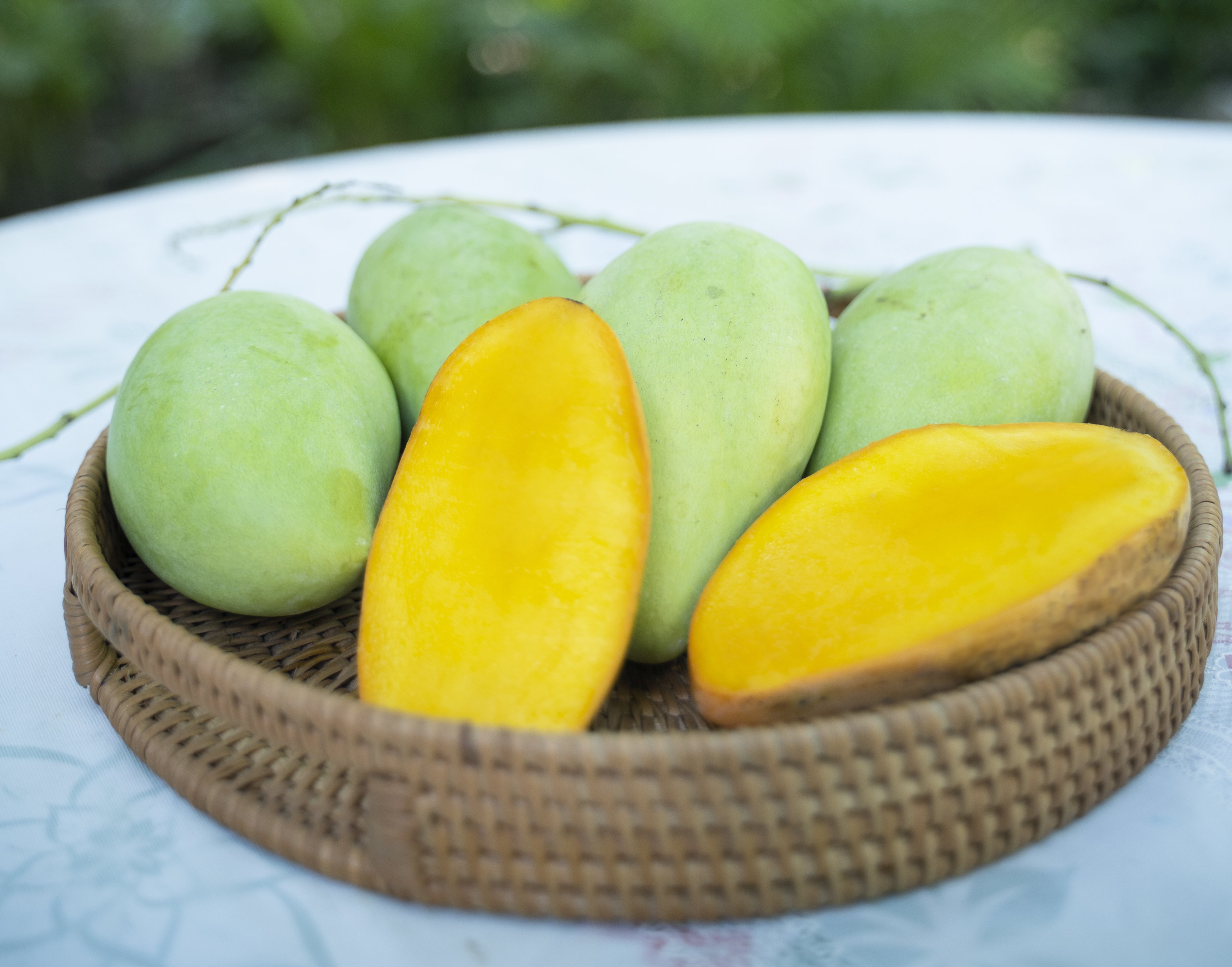 z3924639754001_c34ffeab6ca346ed52d052e9c8c04fbd